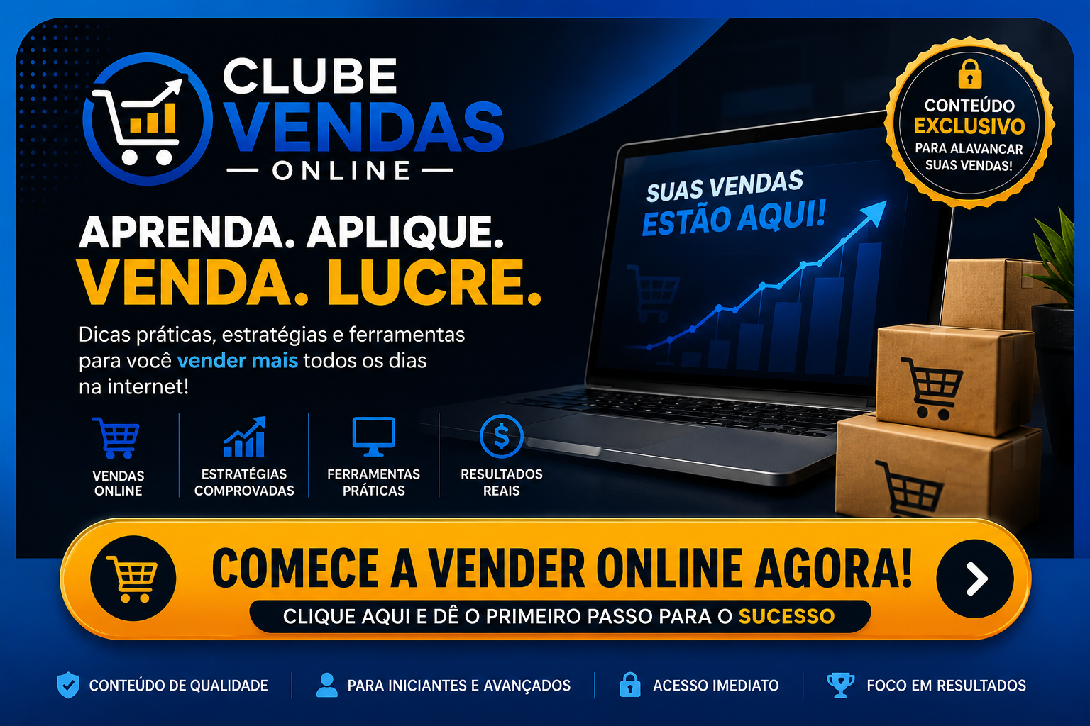 Clube Vendas Online - Aprenda, Aplique, Venda e Lucre